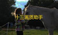 十三画质助手
